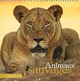Animaux sauvages : calendrier 2016 by 