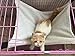 UsefulThingy Cat Hammock. Also for Ferret, Rat, Chinchilla, Rabbit, Small Dogs or Other Pet. Easy to Attach to a Cage. 3 Designs: Tiger