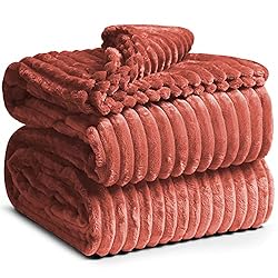Clara Clark Cut Plush Blanket - Queen Size