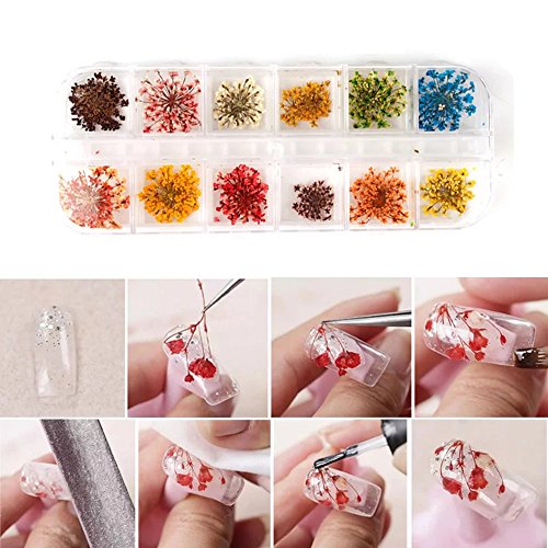 EYX Formula Set of 12 Different Dry Flowers Colors DIY Nail Art 3D Nail Stickers Nail Supplies Dried Flowers Nial Decoration Tool for Manicure - Thumbnail 4