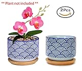 Flowerpot+Wooden Pot Tray Japanese Style Wave Pattern Ceramic Garden Pots Succulent Planter Blue White Flower Po (2-PCS, Wave Blue)