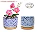 Flowerpot+Wooden Pot Tray Japanese Style Wave Pattern Ceramic Garden Pots Succulent Planter Blue White Flower Po (2-PCS, Wave Blue)