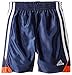 Adidas Boys' Speed Short