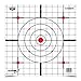 Birchwood Casey Plain Paper Target 12