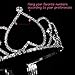 Frcolor Birthday Tiara Rhinestone Crown Birthday Headband Headwear Exchengeable Numbers with Comb Pin for Wedding Bride Bridesmaid