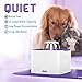 Ruff 'n Ruffus Cat Drinking Water Fountain with 3 FREE Filters + FREE Silicone Mat + FREE Handheld Toy | 2-Liter Automatic Water Dispenser with 3 Flow Settings | Durable Pump & Easy Cleaning