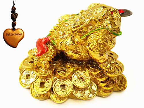 Feng Shui Three Legged Toad/money Frog on a Pile of Money for Wealth Luck