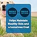 Natural Balance Limited Ingredient Diets Small Breed Dry Dog Food, Potato & Duck, 4.5 Pounds (Discontinued by Manufacturer)