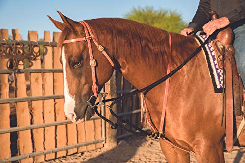 Al Dunning by Pro Choice Draw Rope Martingale