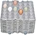 Egg Flats- 18 Henlay 30-Count Egg Trays- Extra Study, Premium Grade- 5x6 Recycled Paper Pulp Filler Flat (18 Pack)