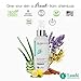 LAUDA BOTANICALS Vitamin C Facial Toner Spray, Hydrating Skin Balancing, Refreshing Pore Minimizer with Organic Witch Hazel, Aloe Vera, Anti Aging Antioxidants for Combination & Oily Skin, 4 Oz