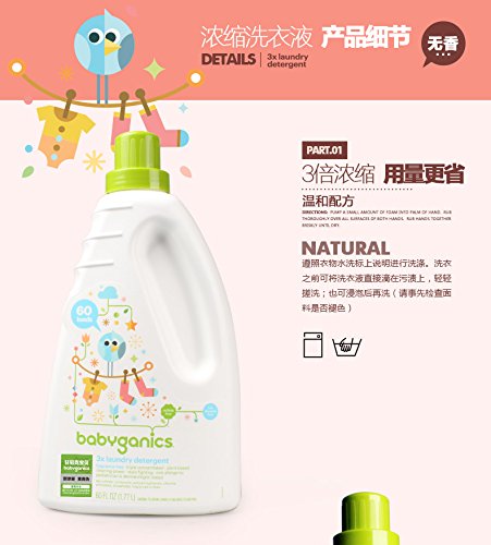 website template image