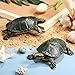 2 Pieces Plastic Turtles Brazilian Turtle Red-Eared Slider Turtle Figures Fun Toys Ponds and Aquarium Decorations Educational Toys for Boy Girl
