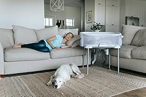 halo bassinest portable stand