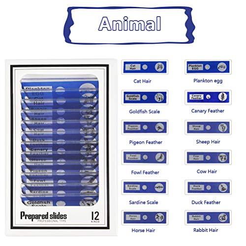 YOTINO 48Pcs Prepared Microscope Slides Specimen Animals Insects Plants Flowers Sample Biological Specimen, Stereo Microscope Slide for Kids Children Students Enlighten Education - Thumbnail 5