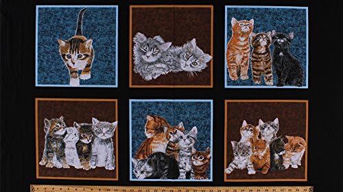 23" X 44" Panel Kittens Kitties Kitty Cats Felines Fluffy Cute Baby Animals Pets Blue Brown Black Counting Kittens Cotton Fabric Panel (761e-9k)