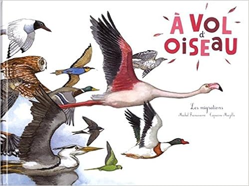 A Vol Doiseau Les Migrations Michel Francesconi