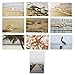 Nautical Beach Seaside Postcards - 20 Glossy Postcards - Bulk Set - Featuring Boats, Lighthouses, Sea Shells, Sand Castles - 4 x 6 Inches