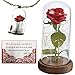 Beauty and the Beast Enchanted Rose in a Glass Dome With Necklace and Love Letter Inspired by Disney Collectibles Decor | Everlasting Belle Rose | For Her