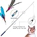 Depets Feather Wand Toy, Retractable Wand with 5 Assorted Feather Refills, Interactive Cat Toy for Indoor Kitten Fun