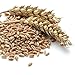 Augason Farms Red Wheat - Hard, 40 lb. Pail