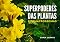 Livro Superpoderes das Plantas: Exemplos de Fitomacrossoma
