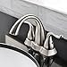 Comllen LS012NJ 4 kitchen faucet, Brushed Nickel