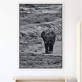 signwin Framed Canvas Wall Art Duotone Elephants Animals...