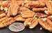 Certified Organic Fresh Shelled Texas Papershell Pecan Halves, 12 Oz. Family Orchard grown