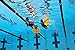FINIS Wave Monofin