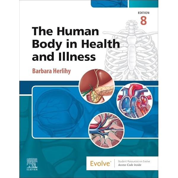 値下げ❗️The Human Body in Health and Illness 81jH6mU2NLL.jpg_BO30,255,255,