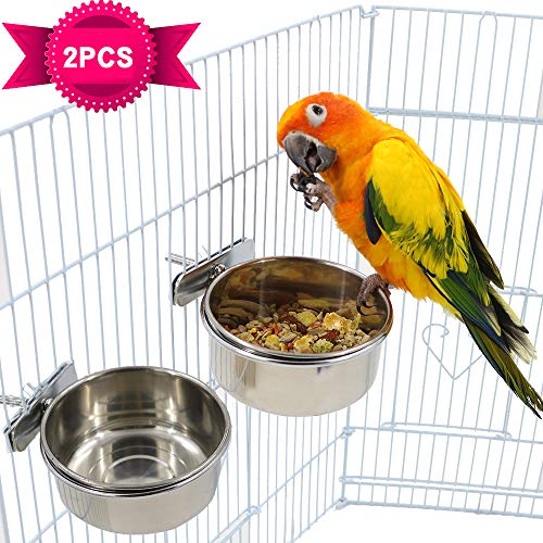 parrot feeding dishes