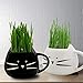 Teagas Organic Cat Grass Kit with Black and White Cat Grass Planters, Organic Soil, Natural Hairball Control and Hairball Remedy for Cats