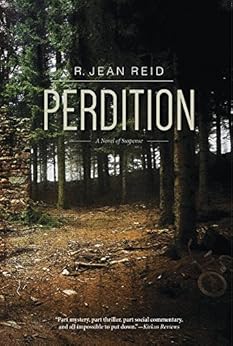 Perdition A Novel Of Suspense A Nell Mcgraw