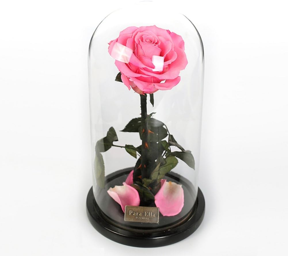 Flor Inmortal Caja De Regalo De Las Rosas/Eterna Flor Caja De Cristal-B: Amazon.es: Hogar