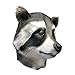 Off the Wall Toys Cool Raccoon Halloween Face Mask