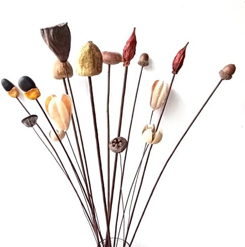 Dongliflower Dried Flower Natural Nut Fruit Seed of Lotus Acorn etc. 16 pcs Mixed Wire Stem 24” Tall Floral Bouquet