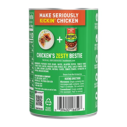 BUSH'S BEST Southwest Zest Pinto Beans, Source of Plant Based Protein