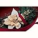 Classic Accessories, Medium Seasons Holiday Wreath Storage Bag, Cranberry