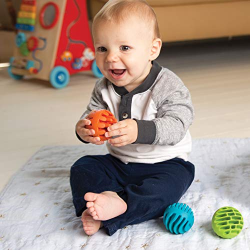 5 Fat+Brain+Toys+Sensory+Rollers