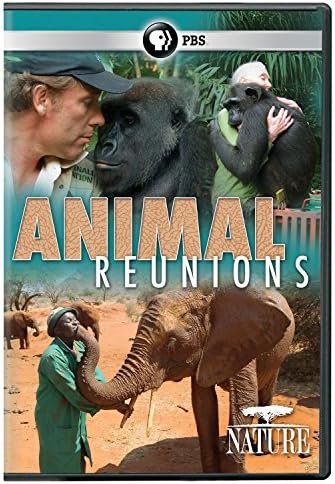 Amazon.com: Borneo's Pygmy Elephants [Blu-ray] : Narrated, Joe