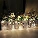 InnooLight Battery Operated Christmas String Lights 30 LEDS Warm White for Decorative Christmas trees, Mantels, Bedroom