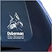 Doberman Clear Vinyl Decal Sticker for Window, Dobermann Pinscher Dog Sign Art Print