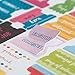 Illustrated Faith - Bible Book Tabs