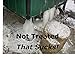 A200 (Alternative Heating Boiler Treatment, Rust Inhibitor for Outdoor Wood Boilers, 2 Quarts, Treats 400 Gallons)
