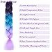 BeautyGrace 5 Packs Ombre Jumbo Braiding Hair Extensions Kanekalon Synthetic Ombre Braid Hair Expressions (24 inch, Purple-Blue-Violet)