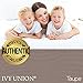 Bare Home 2-Pack Fitted Bottom Sheets Twin XL - Premium 1800 Ultra-Soft Wrinkle Resistant Microfiber - Deep Pocket (Twin XL, Taupe)