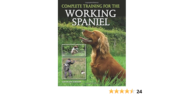 training the working spaniel