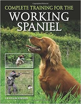 cavapoo potty training