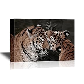 Romantic Tigers in Love